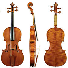 violin